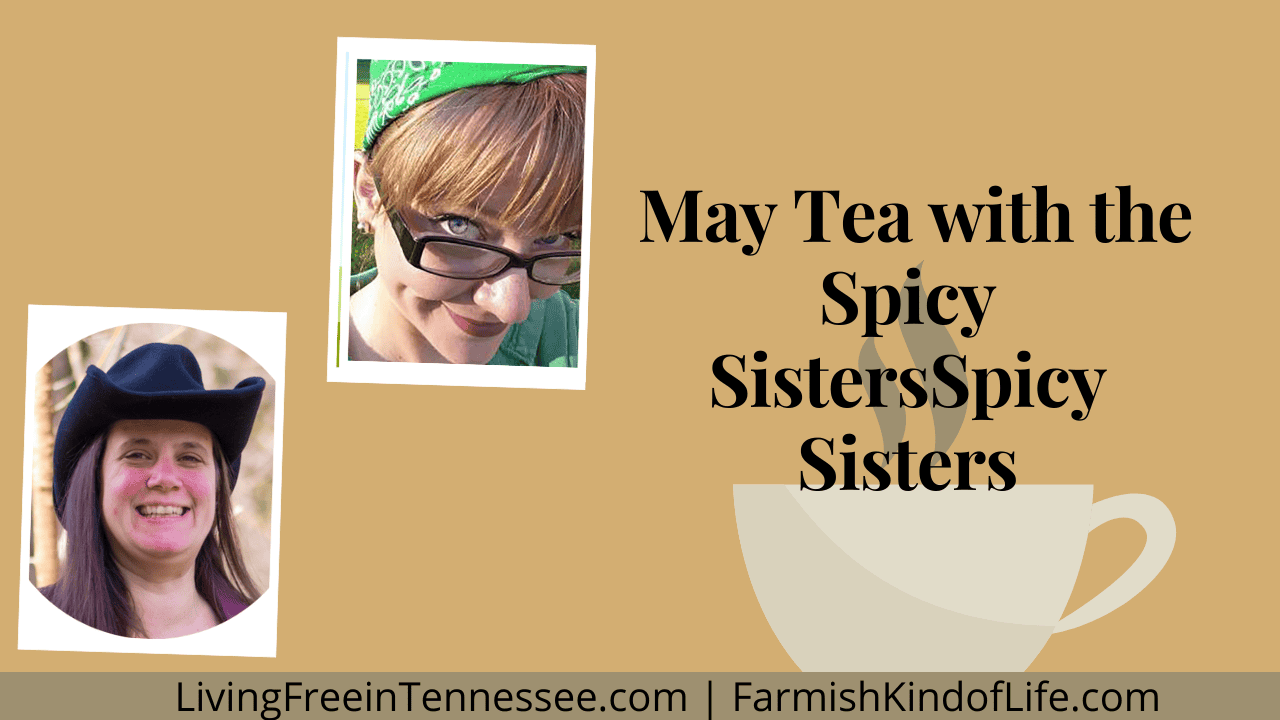 Episode 571 – May Tea with the Spicy Sisters Cover Image