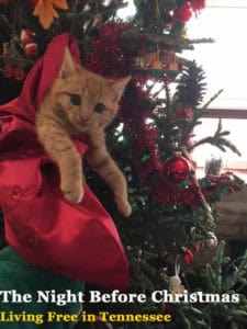 LFTN Christmas Reception