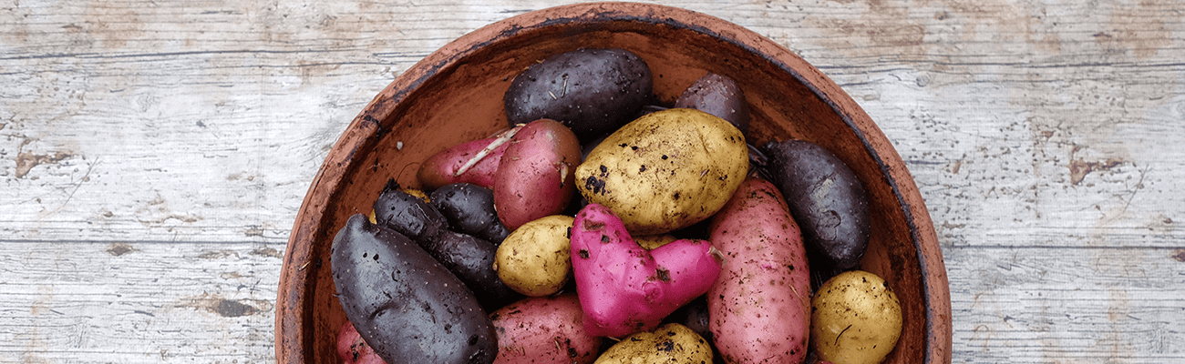 Webinar: Cybersecurity with Andy Higginbotham Cover Image