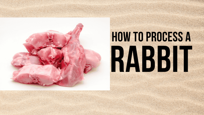Rabbit Processing Demo and Open House at The Holler Homestead – June 29 ...