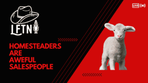 Sheep on a farm representing homesteaders' sales challenges.