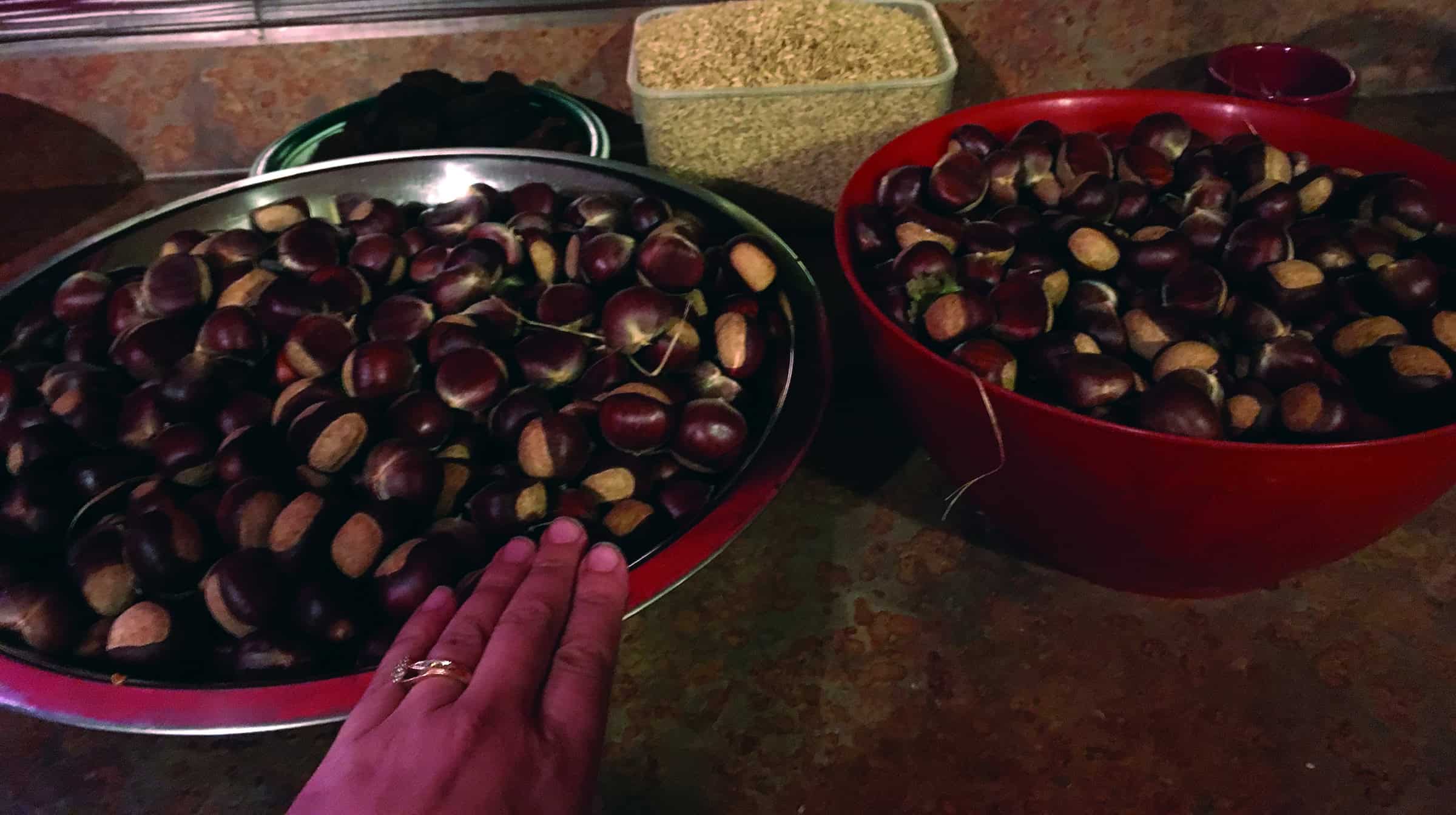 Episode 368 – Thanksgiving in the Holler Cover Image