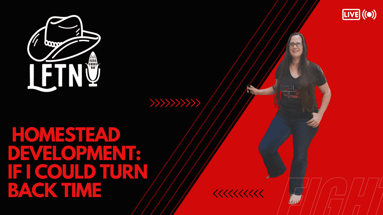 Homestead Development: If I Could Turn Back Time – EP 1049 Cover Image