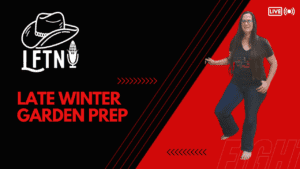 Woman preparing garden in late winter, Tennessee, for planting.